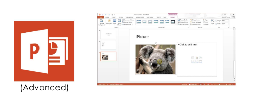 microsoft-powerpoint-advanced