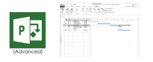 microsoft-project-advanced